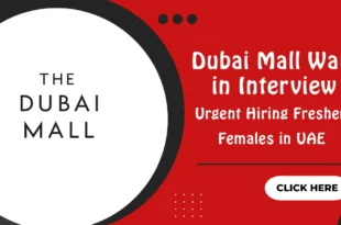 Dubai Mall Walk in Interview