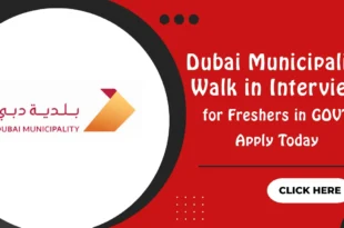 Dubai Municipality Walk in Interview