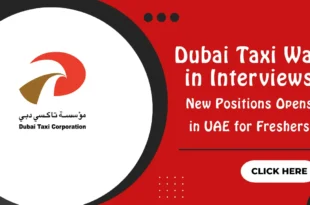 Dubai Taxi Walk in Interview