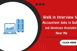 Walk in Interview for Accountant Jobs in Dubai