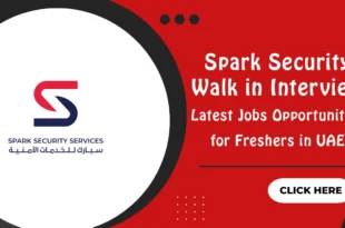 Spark Security Walk in Interview